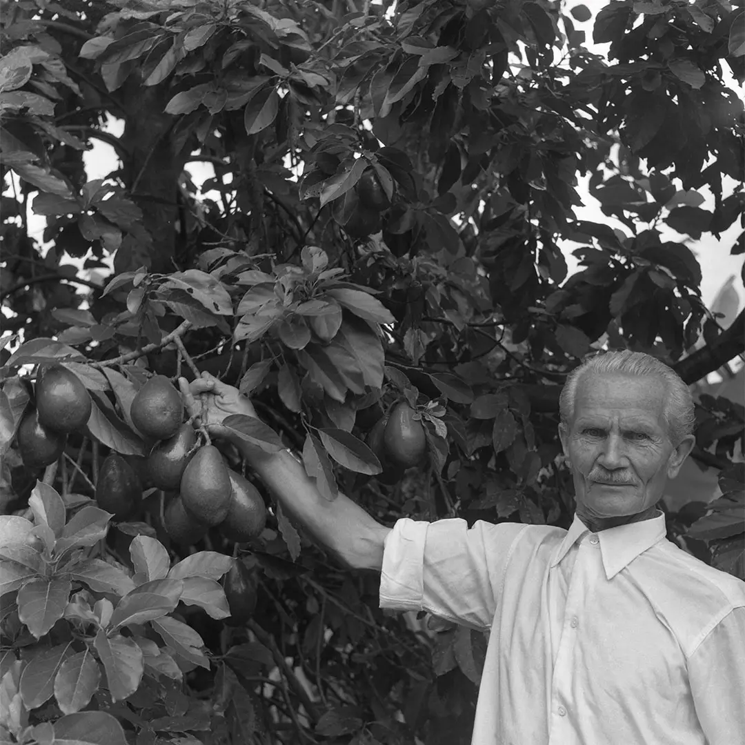 Toivo Uuskallio